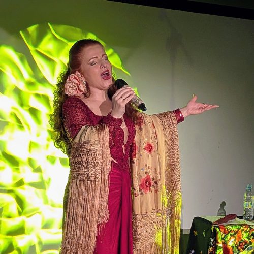 actuacionesnavidadretiro25_2