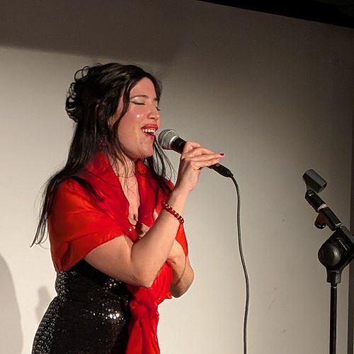 actuacionesnavidadretiro25_4